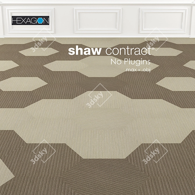 Shaw Hexagon Linear Carpet Tiles 3D model image 1