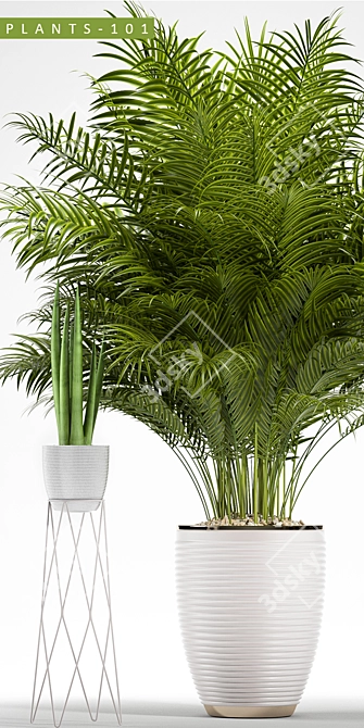Plant 101: MAX2012,2015 & Obj 3D model image 2