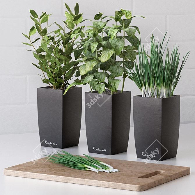 Kitchen Herb Garden: Basil, Bay Leaf, Green Onion 3D model image 1