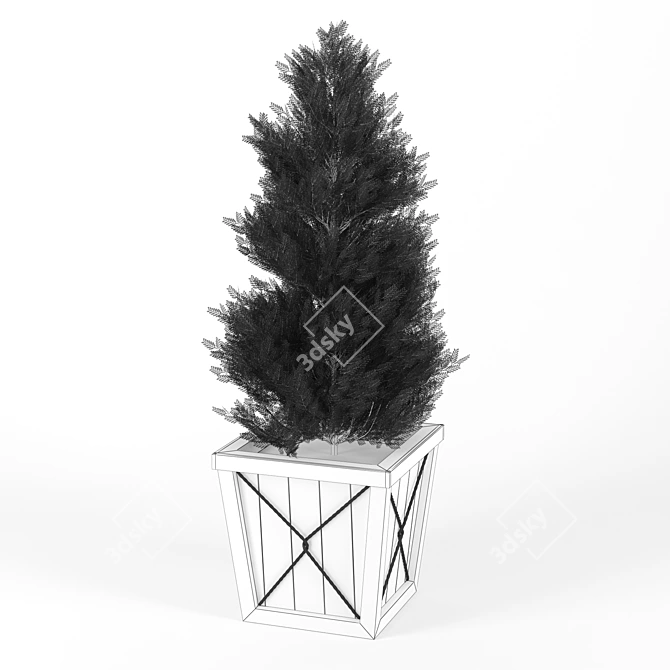 Realistic Thuja Tree 3D Model 3D model image 2