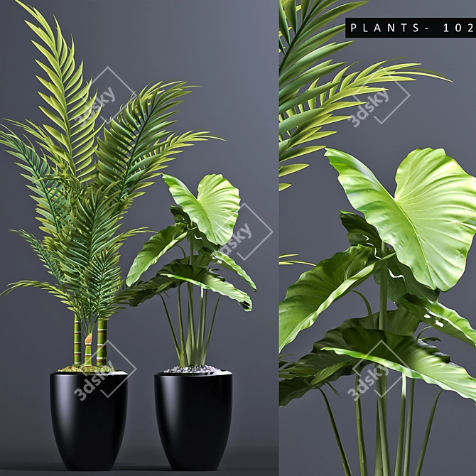 Maximize Your Plant Collection 3D model image 1