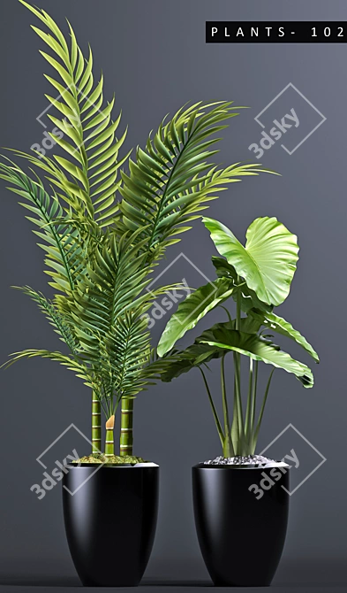 Maximize Your Plant Collection 3D model image 2