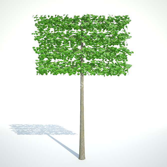 Small-Leaved Linden Tapestry: 4 Tier Green Wall 3D model image 1