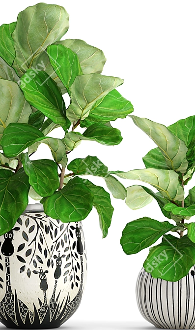 Lyrical Ficus: Majestic Greenery 3D model image 2