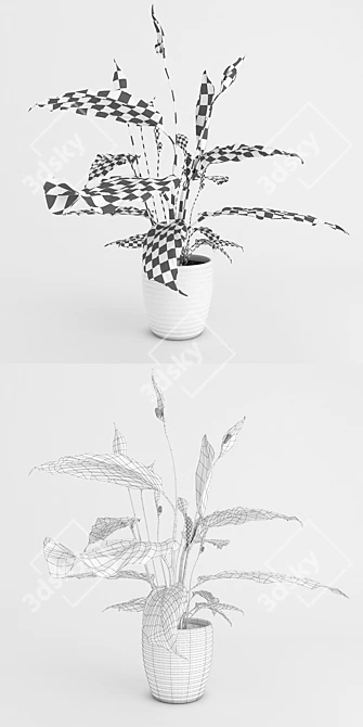 "Gorgeous Spathiphyllum: Blossom of Happiness 3D model image 3