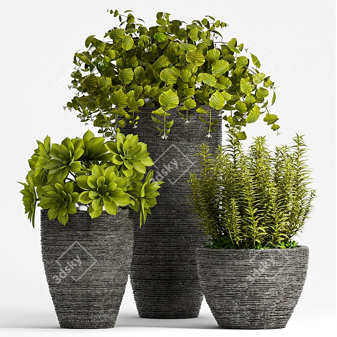 Greenery in Bloom - Set of 3 3D model image 1