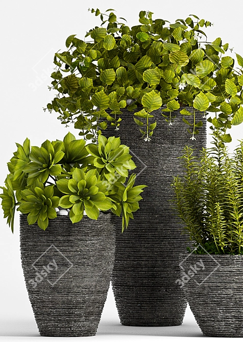 Greenery in Bloom - Set of 3 3D model image 2