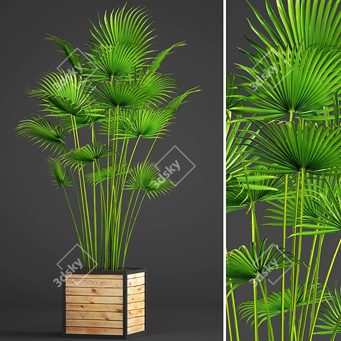 Tropical Palm Paradise 3D model image 1