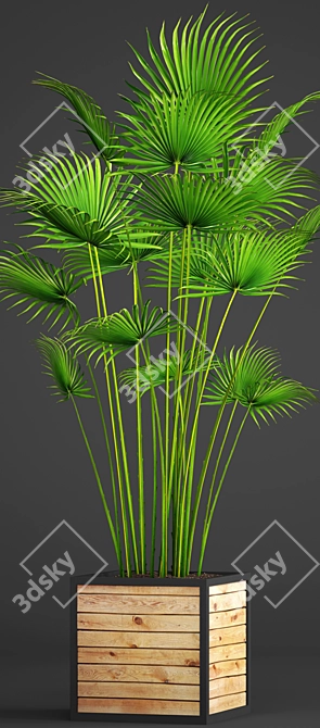 Tropical Palm Paradise 3D model image 2