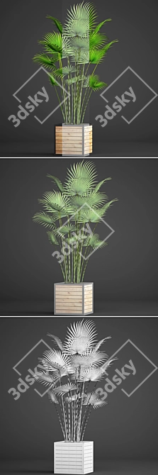 Tropical Palm Paradise 3D model image 3