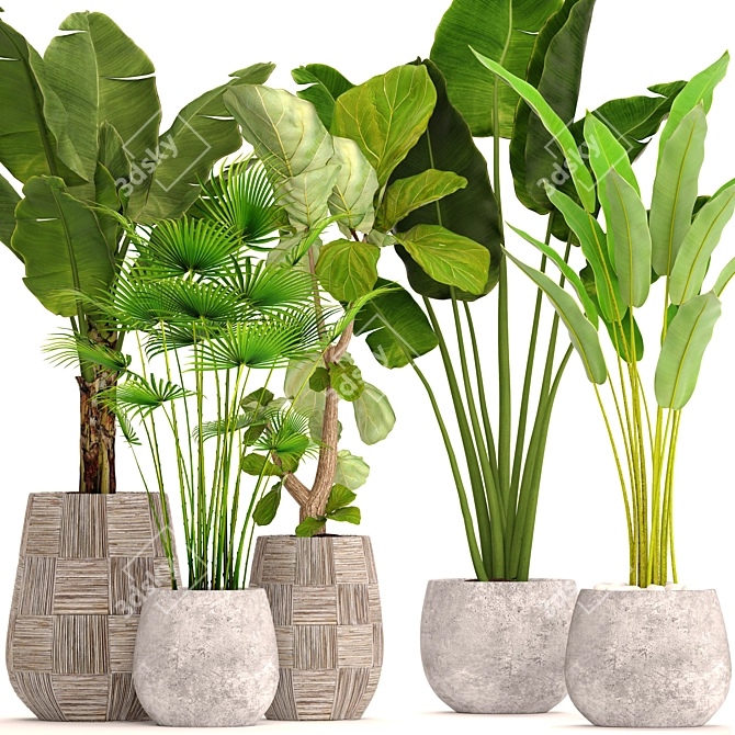 Potted Plant Collection 41 3D model image 1