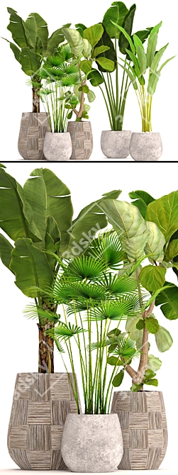 Potted Plant Collection 41 3D model image 2