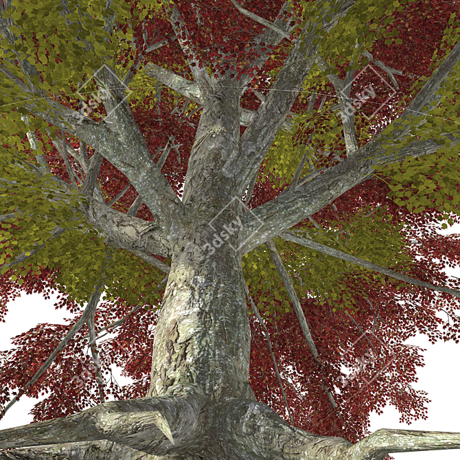 High-quality 3D Tree Model 3D model image 2