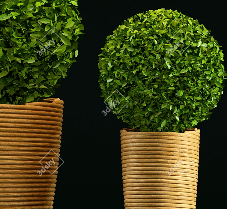 Sleek Greenery: Modern Plant 3D model image 2