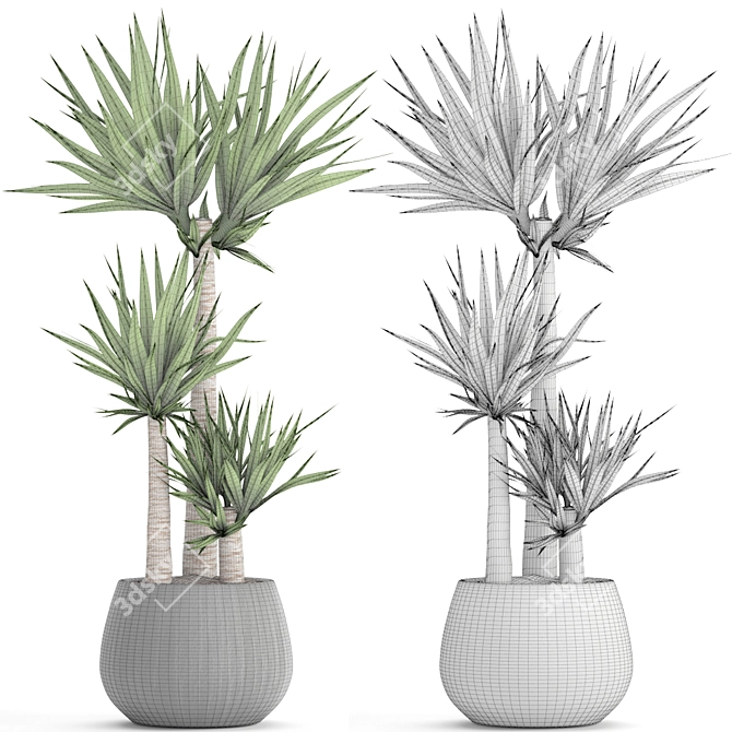 Decorative Yucca Plant Pot 3D model image 3