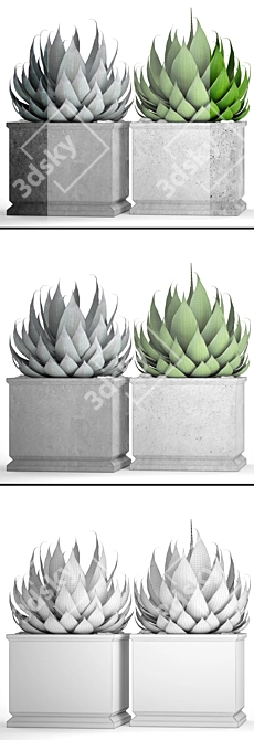 Agave Collection: Potted Plants 3D model image 3