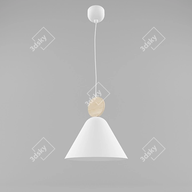 Modern Pendant Light 3D model image 1