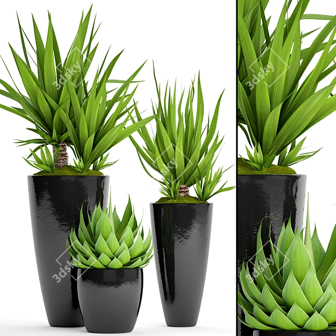 Tropical Plant Pot Collection 3D model image 1