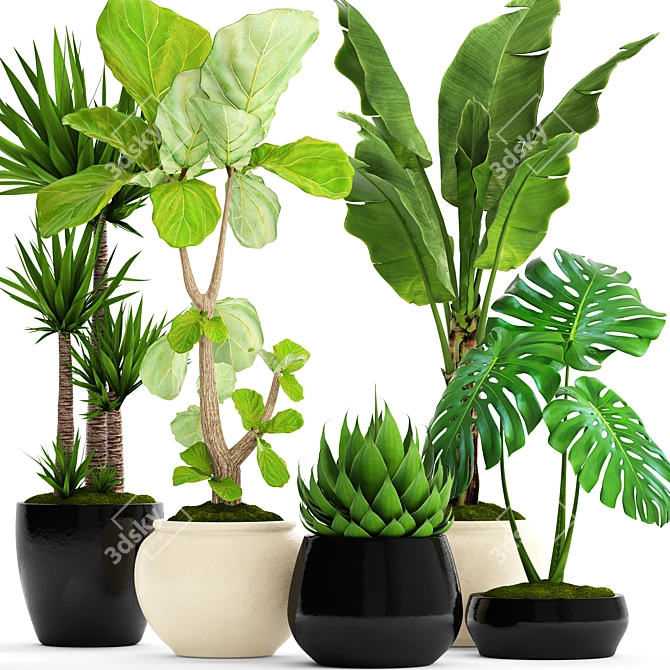 Green Oasis: 45 Potted Plants 3D model image 1