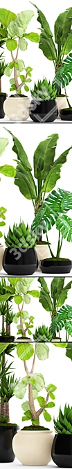 Green Oasis: 45 Potted Plants 3D model image 2