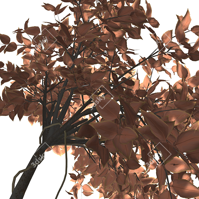 High-Quality 3D Tree Model 3D model image 3