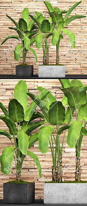 Green Oasis: Botanical Pot Collection 3D model image 2