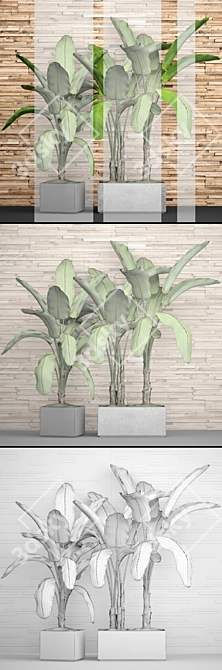 Green Oasis: Botanical Pot Collection 3D model image 3