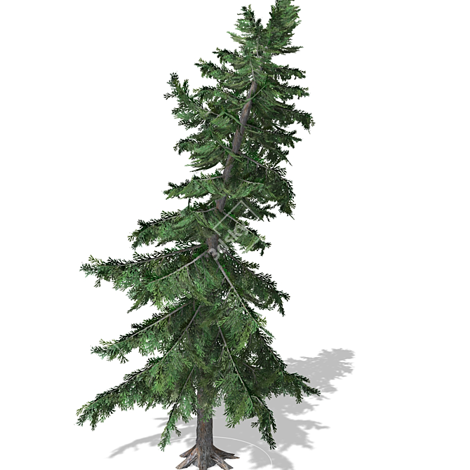 3D Tree Model - High Quality 3D model image 1