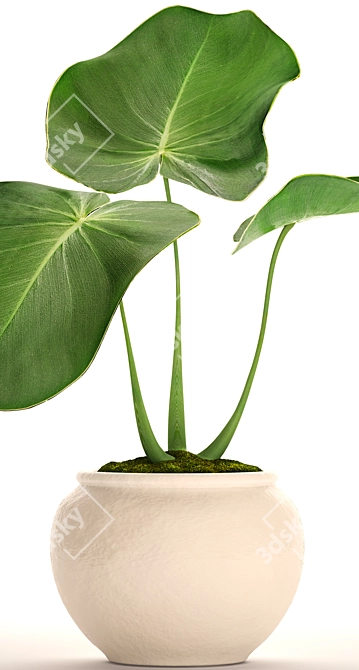 Tropical Bliss: Potted Exotic Plant 3D model image 2