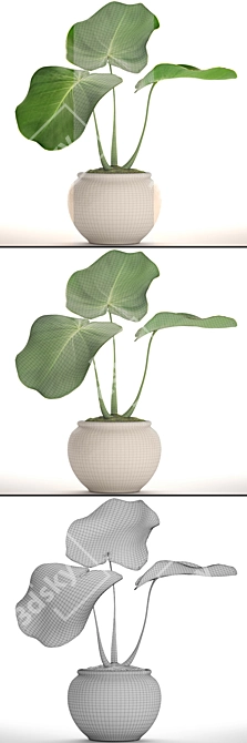 Tropical Bliss: Potted Exotic Plant 3D model image 3