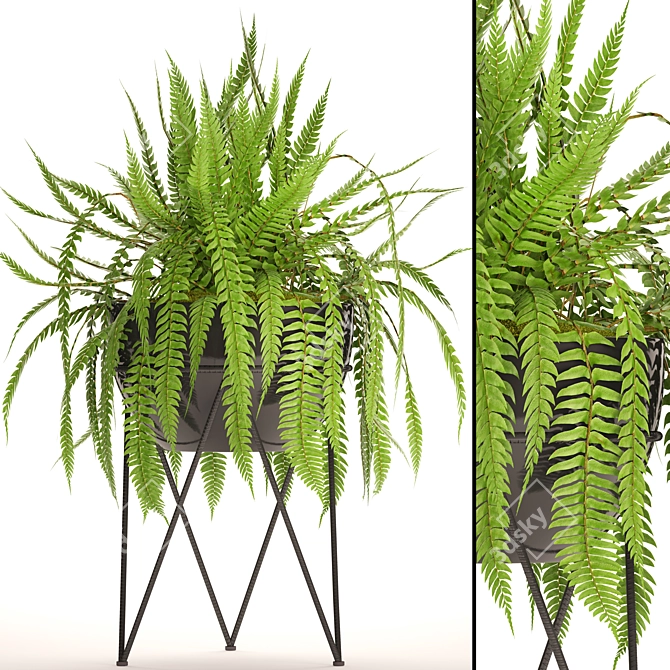 Lush Fern Pot 3D model image 1