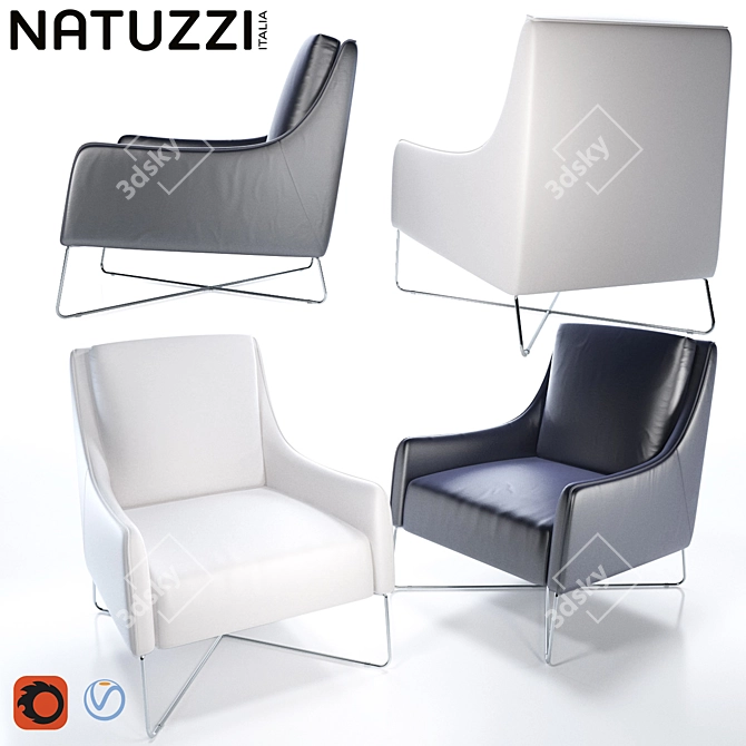 Natuzzi Agra Leather Chairs 3D model image 1