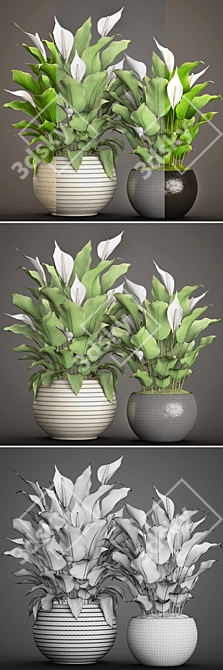 Lush Potted Collection: 50 Spathiphyllum 3D model image 3