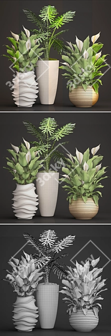 Indoor Greenery Collection: Philodendron & Spatiphillum 3D model image 3