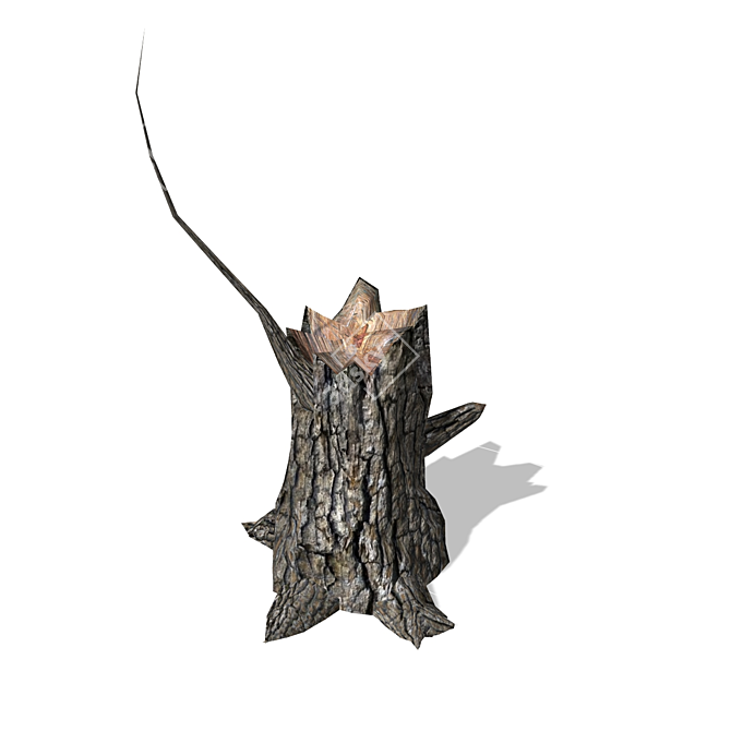 Realistic Stump Model - 3D Rendering 3D model image 1