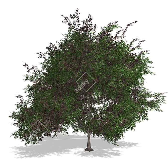 Realistic 3D Tree Model 3D model image 1