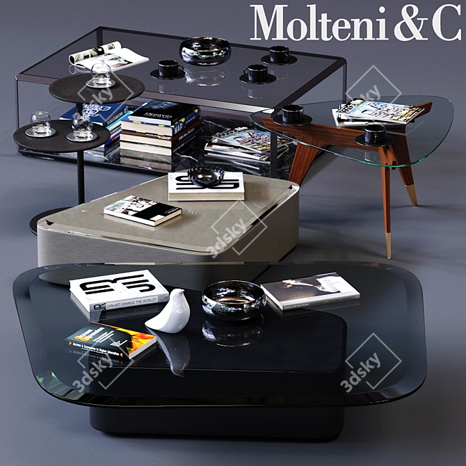 Modern Molteni&C Coffee Tables Set 3D model image 1