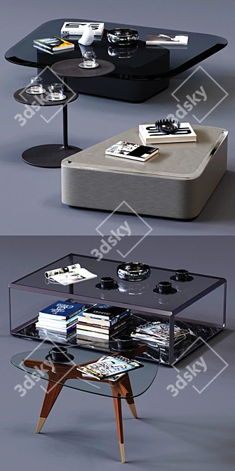 Modern Molteni&C Coffee Tables Set 3D model image 2