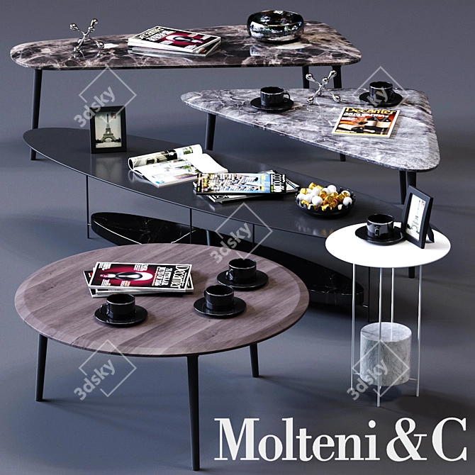 Elegant Molteni&C Coffee Tables Set 3D model image 1