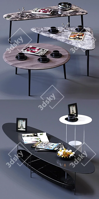 Elegant Molteni&C Coffee Tables Set 3D model image 2