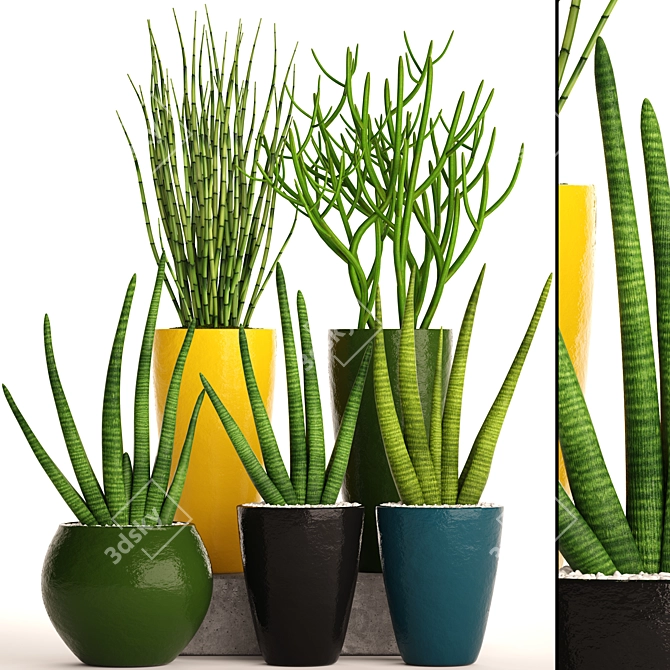 58 Piece Sansevieria Collection in Pots 3D model image 1