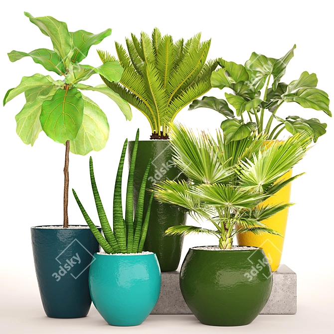 Indoor Potted Plant Collection 3D model image 1