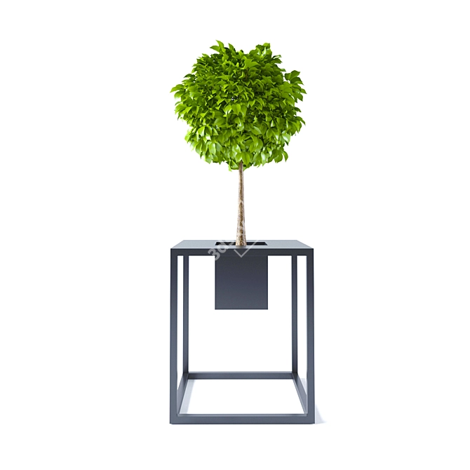 Lush Foliage: 3D Plants 3D model image 2