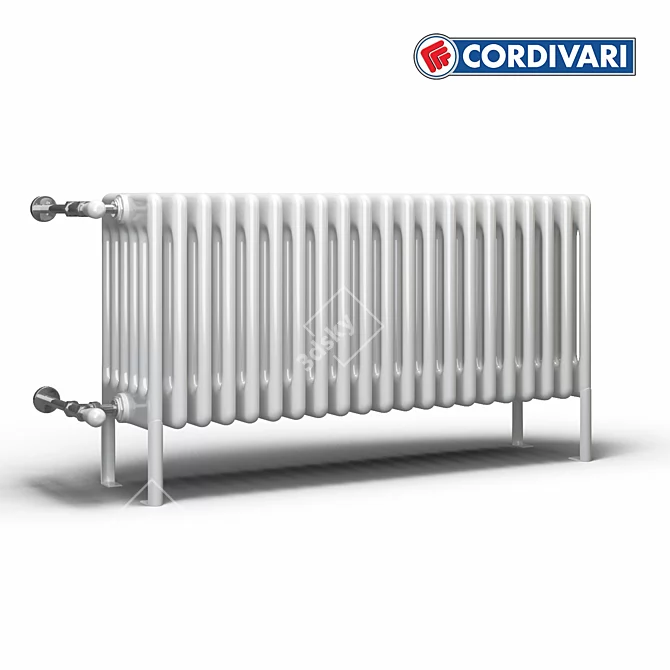 Italian Cordivari Radiator 3D model image 1