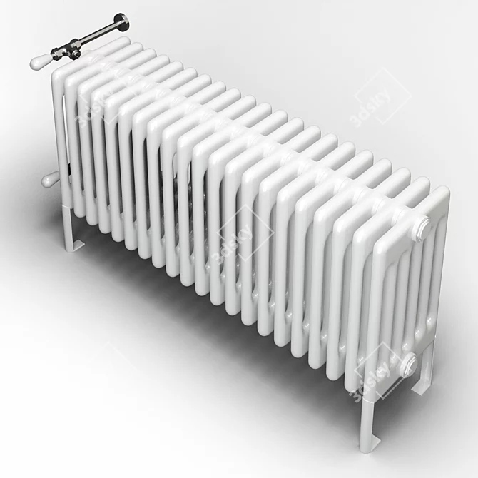 Italian Cordivari Radiator 3D model image 2