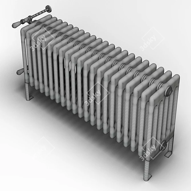 Italian Cordivari Radiator 3D model image 3