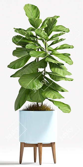 Green Oasis - Plant Set 3D model image 3
