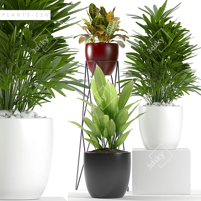 Versatile Plant Collection 3D model image 1