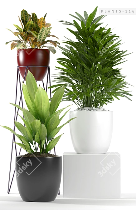 Versatile Plant Collection 3D model image 2