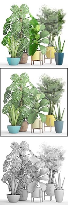 Green Oasis Collection: Potted Plants 3D model image 3